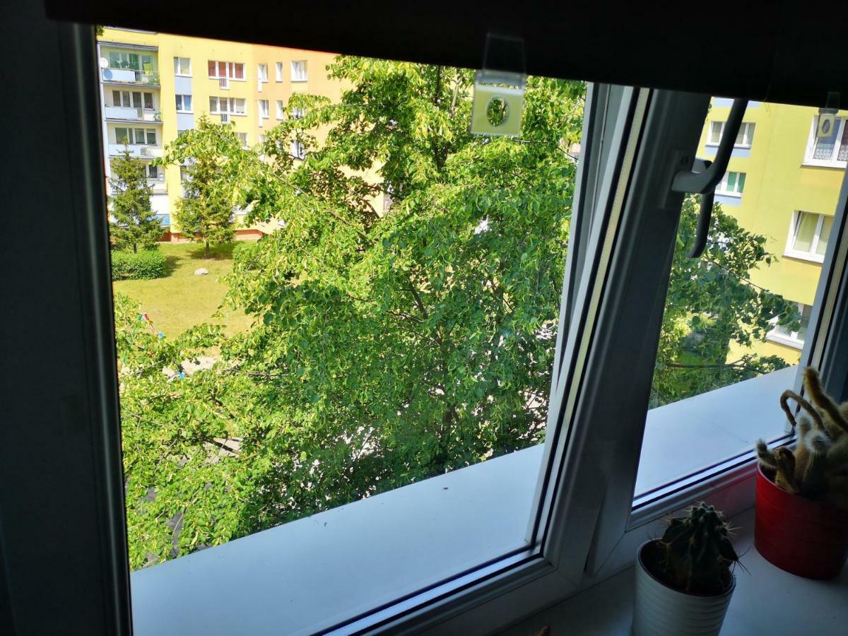 Poza zgiełkiem miasta, a jednak wszystko w zasięgu Bydgoszcz Zewnętrze zdjęcie